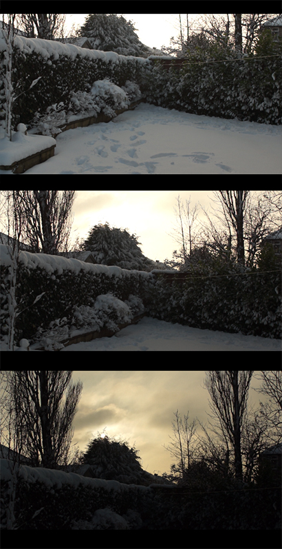 In this video sequence, the camera is panning upwards to the sky, whilst at the same time a variable ND filter is being used to maintain exposure. Although the ND filter helps, it cannot easily be used if the exposure change is large... in the last image, the ND filter is keeping the sky from blowing out, but the foliage is now black: the change in exposure across the pan is too great.
